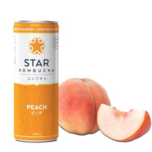 スターコンブチャ ピーチ(発酵飲料)[250ml／1本]STAR KOMBUCHA PEACH 紅茶キノコ 発酵ドリンク konbucha