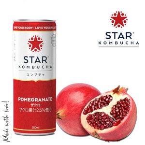 スターコンブチャ ザクロ(発酵飲料)[250ml／1本]STAR KOMBUCHA POMEGRANATE 紅茶キノコ 発酵ドリンク