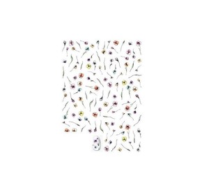 TSUMEKIRA(ツメキラ) ネイルシール　tati プロデュース6 Flora (クリア) NN-TAT-108