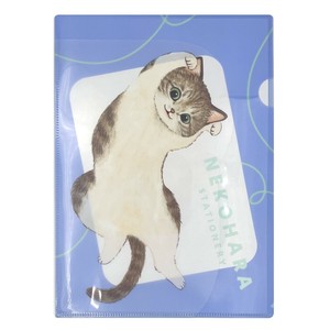 File Pocket File