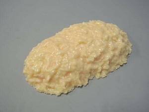 脂肪模型　2kg　IP-971
