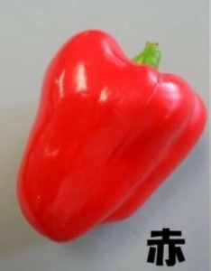 日本職人が作る  食品サンプル　パプリカ　赤・IP-356