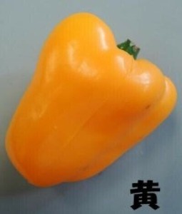 日本職人が作る  食品サンプル　パプリカ　黄・IP-358