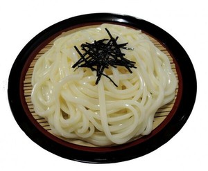 日本職人が作る  食品サンプル　ざるうどん　IP-432