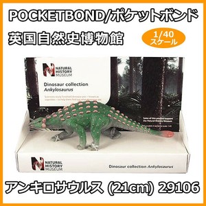 POCKETBOND/ポケットボンド 英国自然史博物館 アンキロサウルス (21cm) 29106