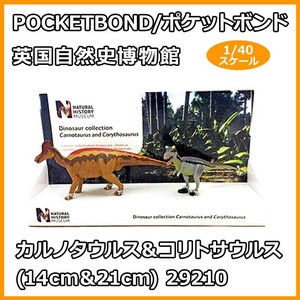POCKETBOND/ポケットボンド 英国自然史博物館 カルノタウルス＆コリトサウルス(14cm＆21cm) 29210