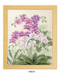 オリムパス　オノエ・メグミ　ししゅうキット　愛すべき花たち　胡蝶蘭　7452