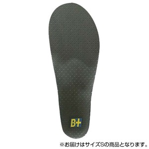 ホシノ インソール Flying Foot Hoshino Insole B+VC35A Variable Control 35A  S