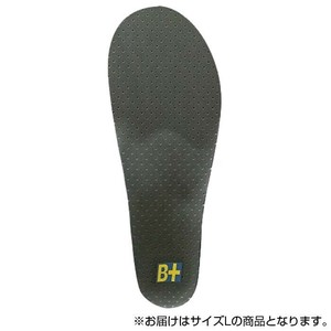 ホシノ インソール Flying Foot Hoshino Insole B+VC35A Variable Control 35A  L