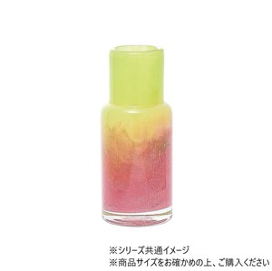 DGボトルベースφ7.5(5.5)xH18(5) ピンクグリーン　2C00039PKG
