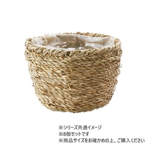 PP浅丸シーグラスナチュラルmini 8個セット　7600078NA
