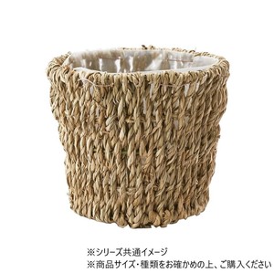 PPシーグラスポット3.5号　7600084