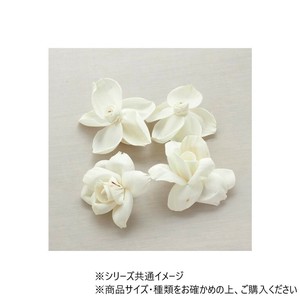 RMソラティーローズ6cm 4個　8900071