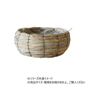 MH浅丸クールL　7700058