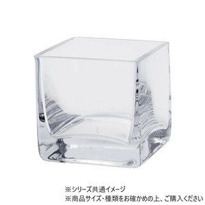 TomグラスキューブS(2500001) 8×H8　2600001