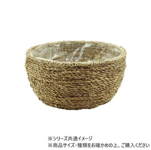 PP浅丸シーグラスナチュラルM　7600081NA