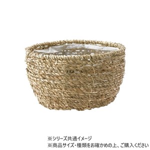PP浅丸シーグラスナチュラルS　7600080NA