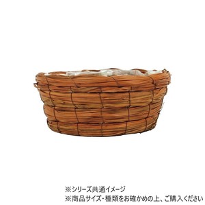 グラス円形ブラウンLL　7200156
