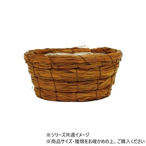 グラス円形ブラウンL　7200155