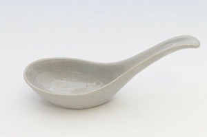Spoon