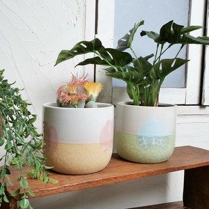 Pot/Planter Ceramic Pastel [2025 NEW]