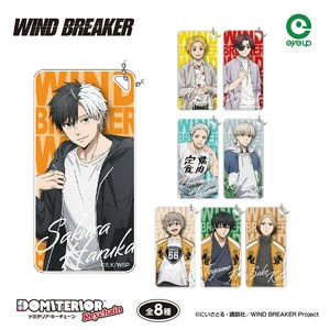 TVアニメ『WIND BREAKER』 ドミテリアキーチェーン vol.2