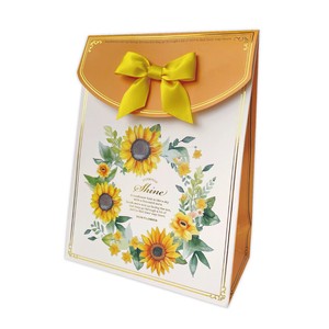 General Carrier Paper Bag