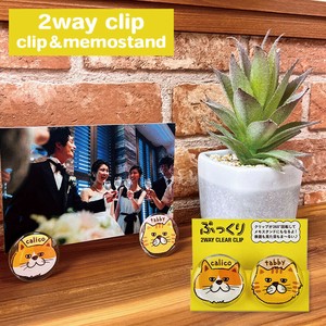 Clip 2Way Cat Clear