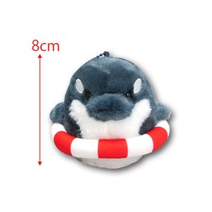 【予約販売：6月新商品】◆かなづちフレンズLMCシャッツィー　ぬいぐるみ