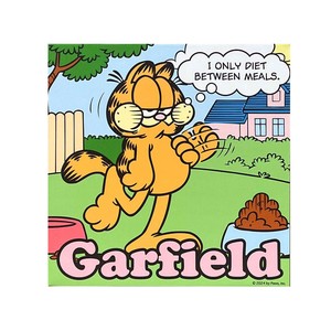 ■2025SS　新作■　GARFIELD　LEDライトキャンバスボックス　GF-00059-2