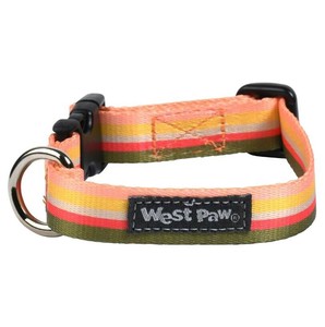 West Paw　ウェスト・ポウ　おでかけカラー　レインボートラウト　S　CL041RTR