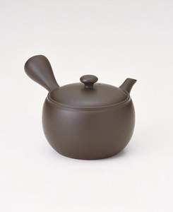 Tokoname ware Japanese Teapot Tea Pot