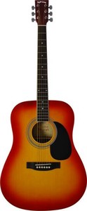 SepiaCrue アコースティックギター WG-10/CS(S.C)