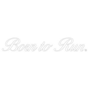 東洋マーク製作所　バイク・カーステッカー　Born　to　Run　AP-202　AP-202
