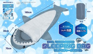 Sleeping Bag