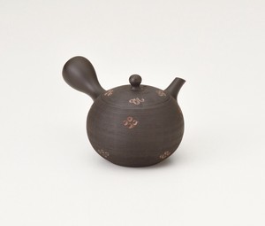 Tokoname ware Japanese Teapot Tea Pot