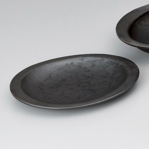 Shigaraki ware Main Plate Pottery Made in Japan