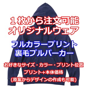 Hoodie Pullover Hoodie