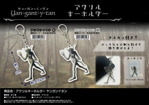 Key Ring