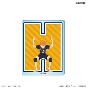 Object/Ornament Haikyu!!