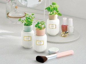 【聖新陶芸】ボタニカル フレグランス 3種