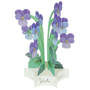 Greeting Card