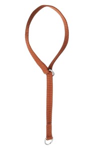 プロ用訓練リード　フラットンカラー　M55cm　茶 030827