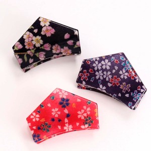 Clip Hair Clip Clear