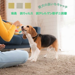 壁に貼る消臭ラグ ? 8色展開でインテリアに馴染む消臭対策！