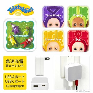 テレタビーズ　USB/USB Type-C ACアダプタ