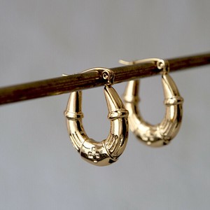 Pierced Earringss Stainless Steel