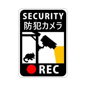 Disaster Preparedness momonga