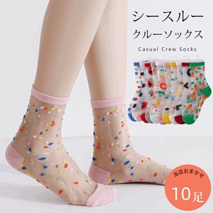 Crew Socks Transparency Ladies fashion Socks Sheer 23cm ~ 25cm 10-pairs