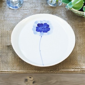Main Plate Anemone